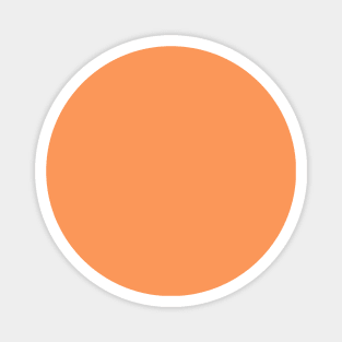 Muted Orange Magnet